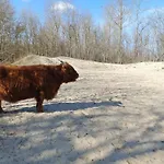 Beach House Rodine - Free Parking & Bikes